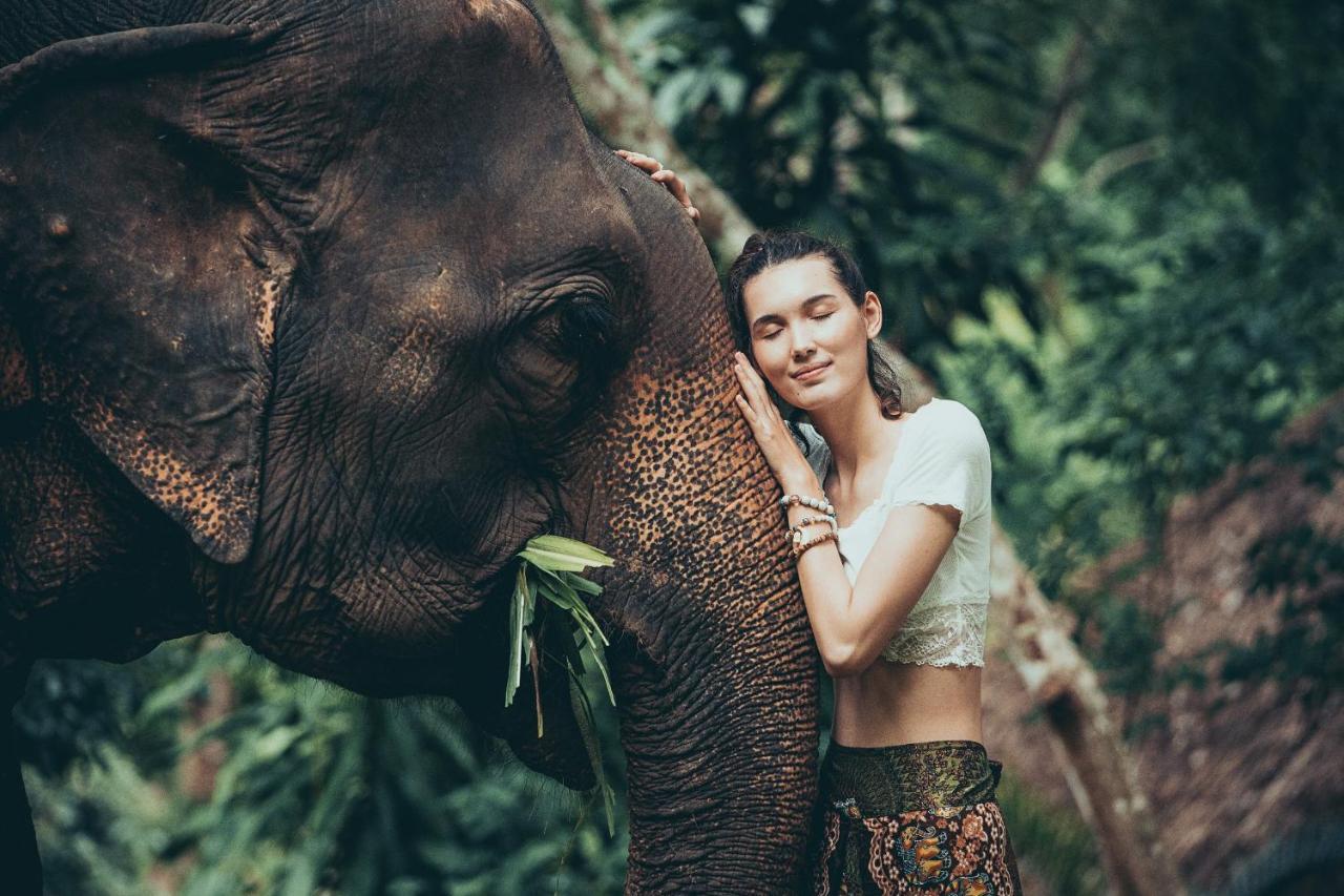 The Chai Lai Orchid Hotel Chiang Mai Zewnętrze zdjęcie