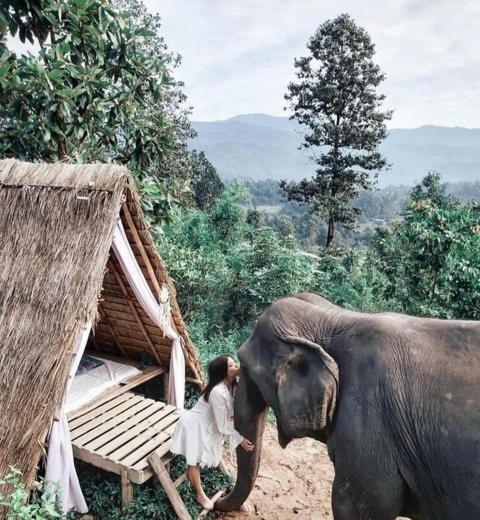 The Chai Lai Orchid Hotel Chiang Mai Zewnętrze zdjęcie