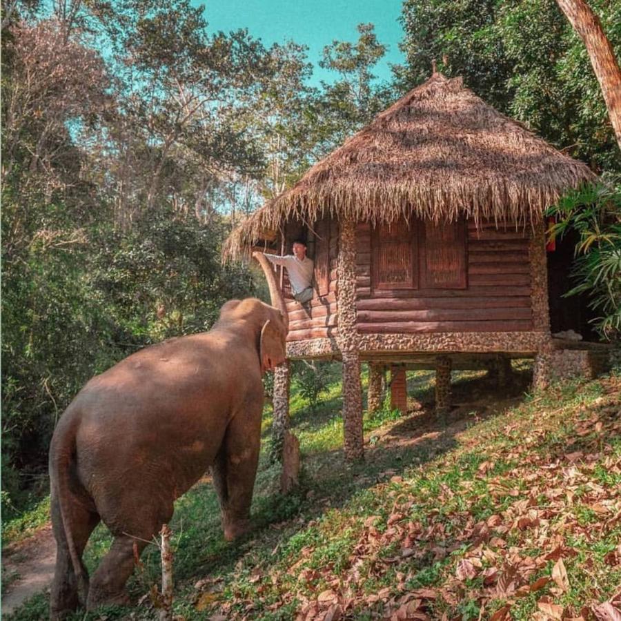 The Chai Lai Orchid Hotel Chiang Mai Zewnętrze zdjęcie