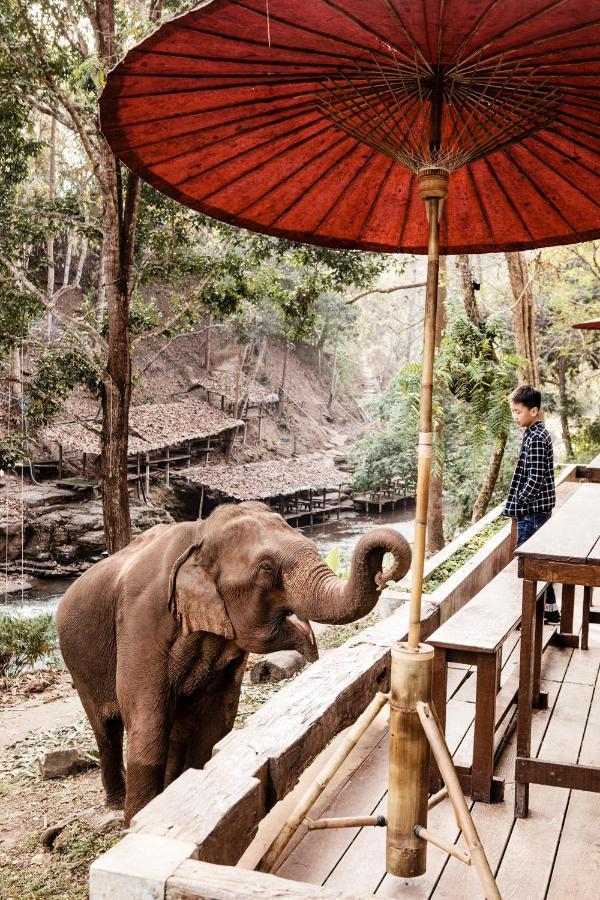The Chai Lai Orchid Hotel Chiang Mai Zewnętrze zdjęcie